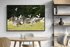 Pixalot Zebra & Herons (colour)