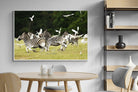 Pixalot Zebra & Herons (colour)