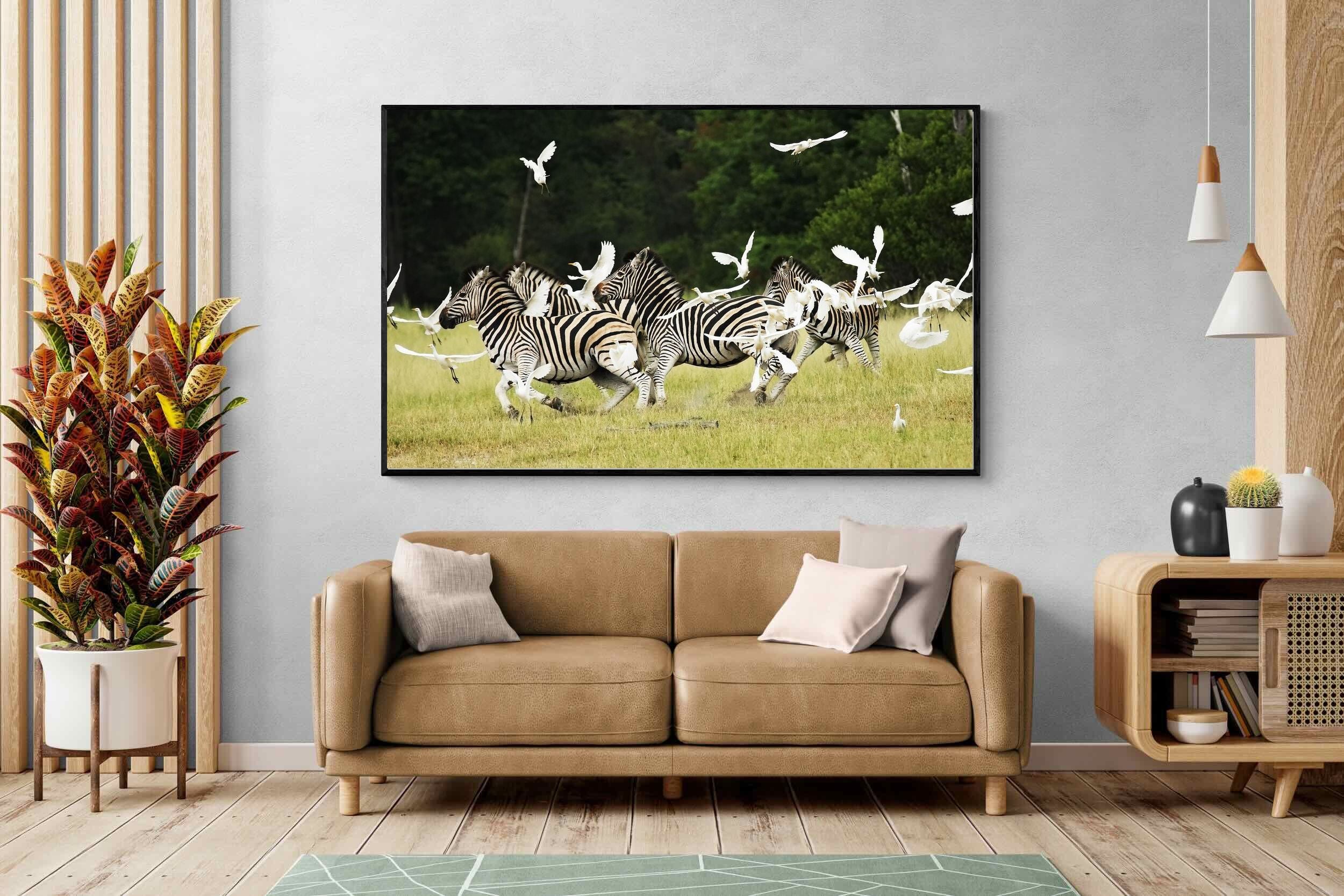 Pixalot Zebra & Herons (colour)