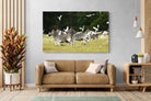 Pixalot Zebra & Herons (colour)