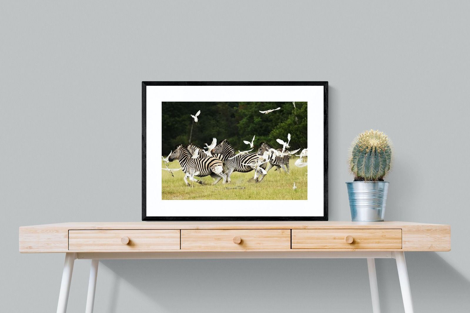 Pixalot Zebra & Herons (colour)