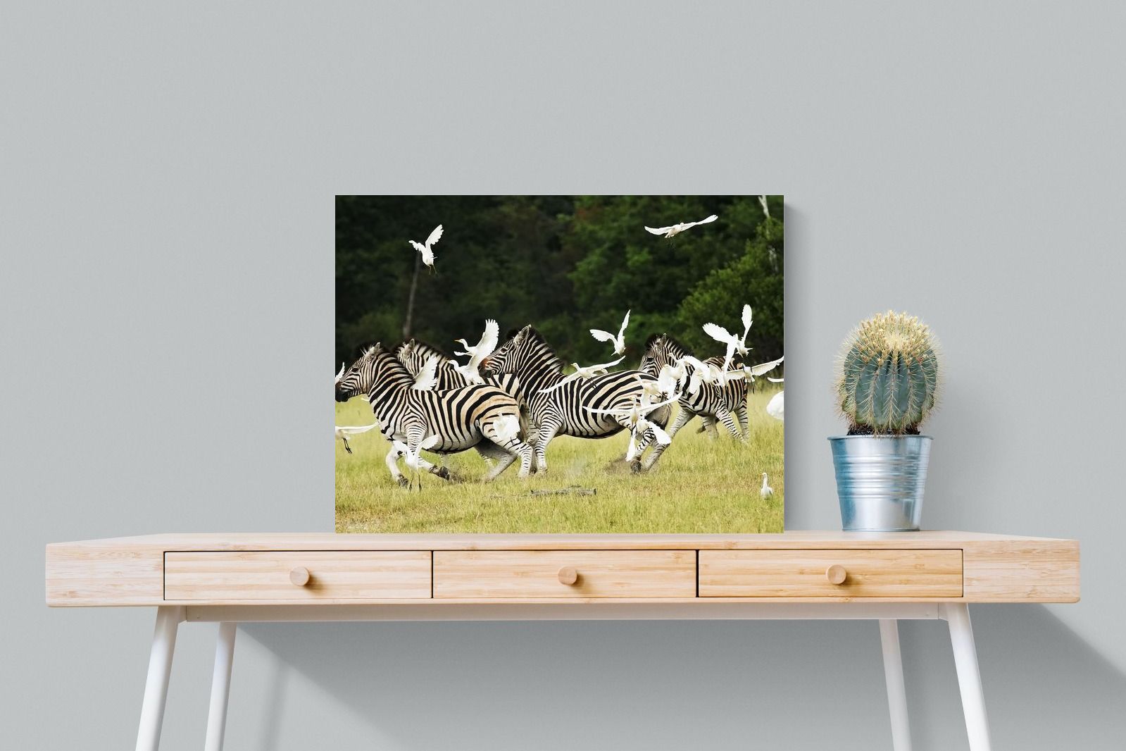 Pixalot Zebra & Herons (colour)