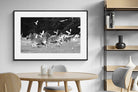 Pixalot Zebra & Herons