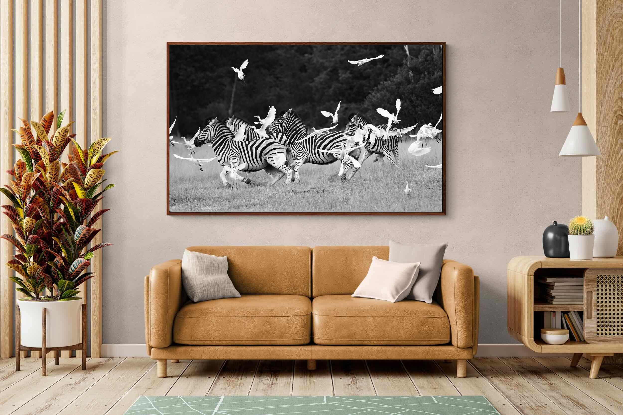 Pixalot Zebra & Herons