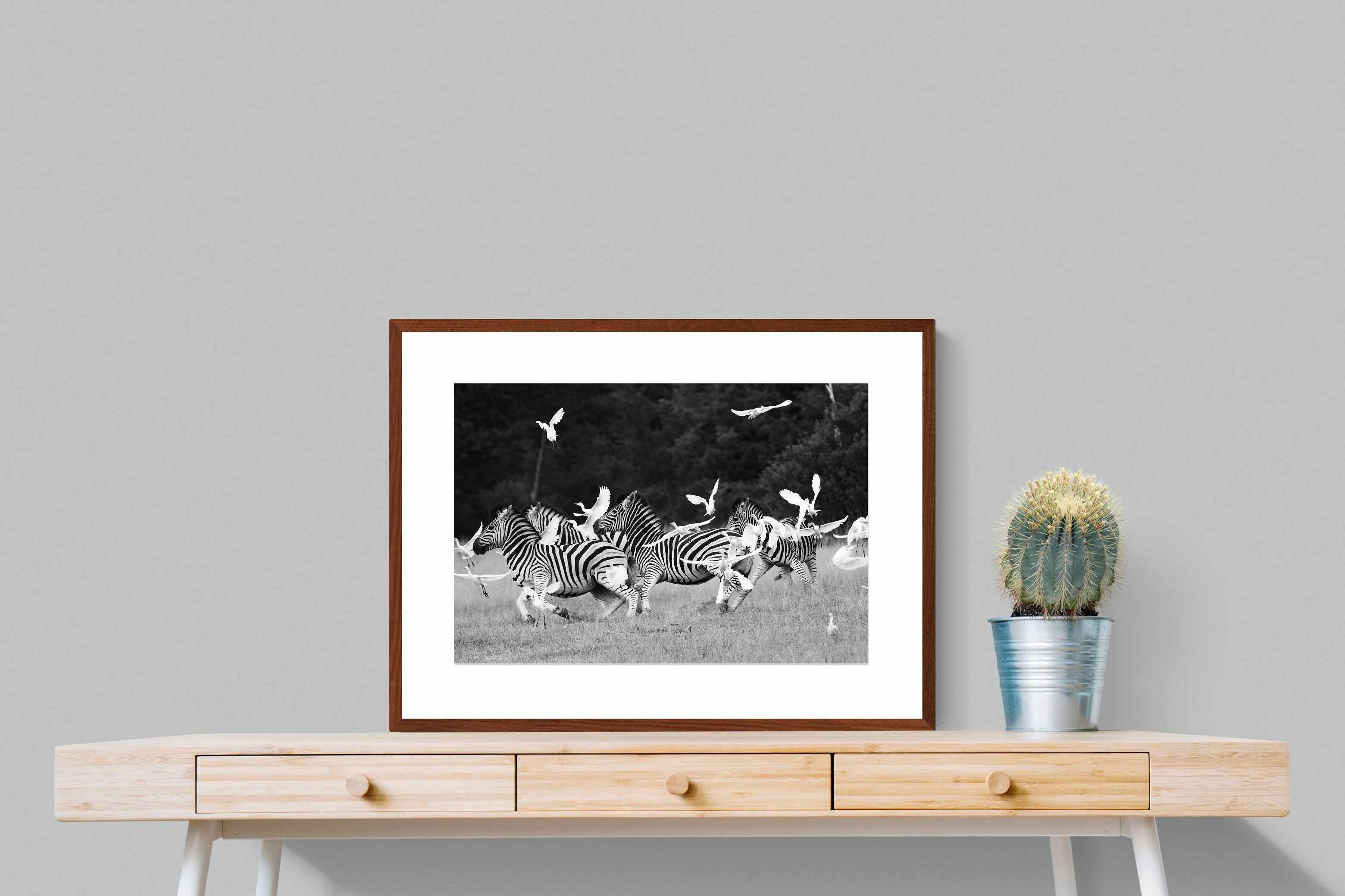 Pixalot Zebra & Herons