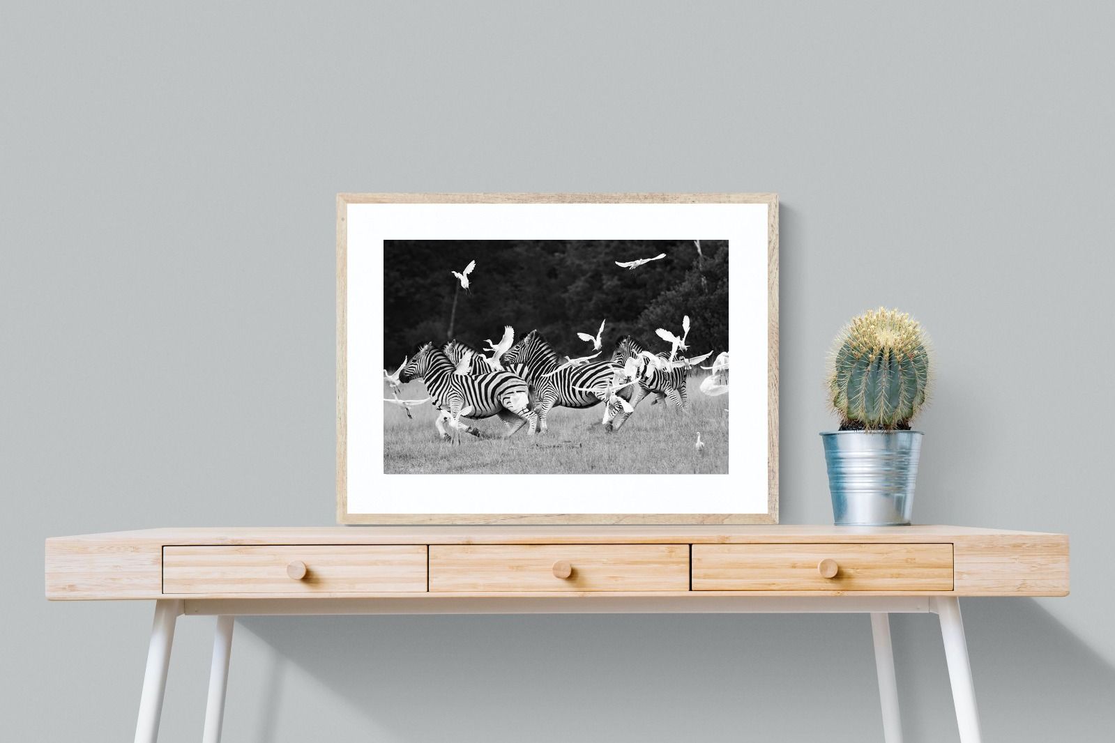 Pixalot Zebra & Herons