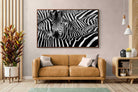 Pixalot ® Zebra Look