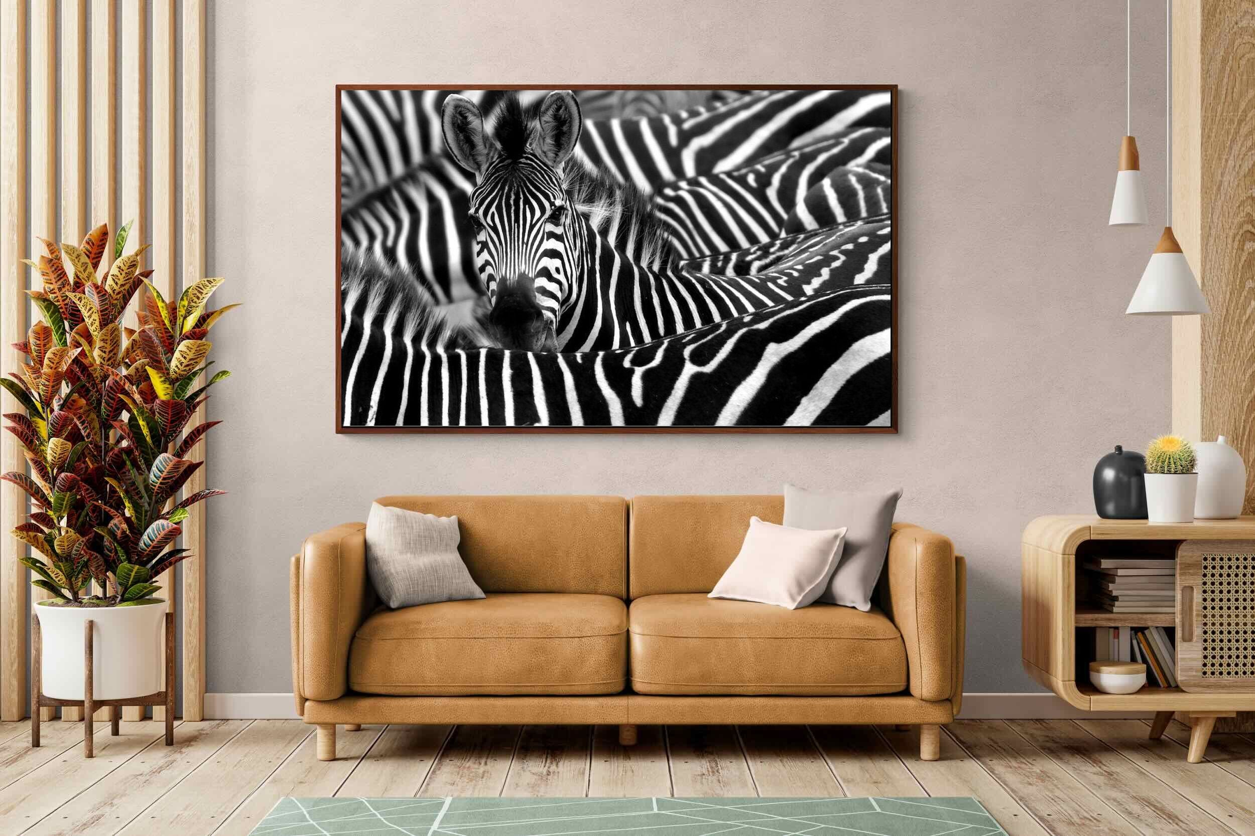 Pixalot ® Zebra Look