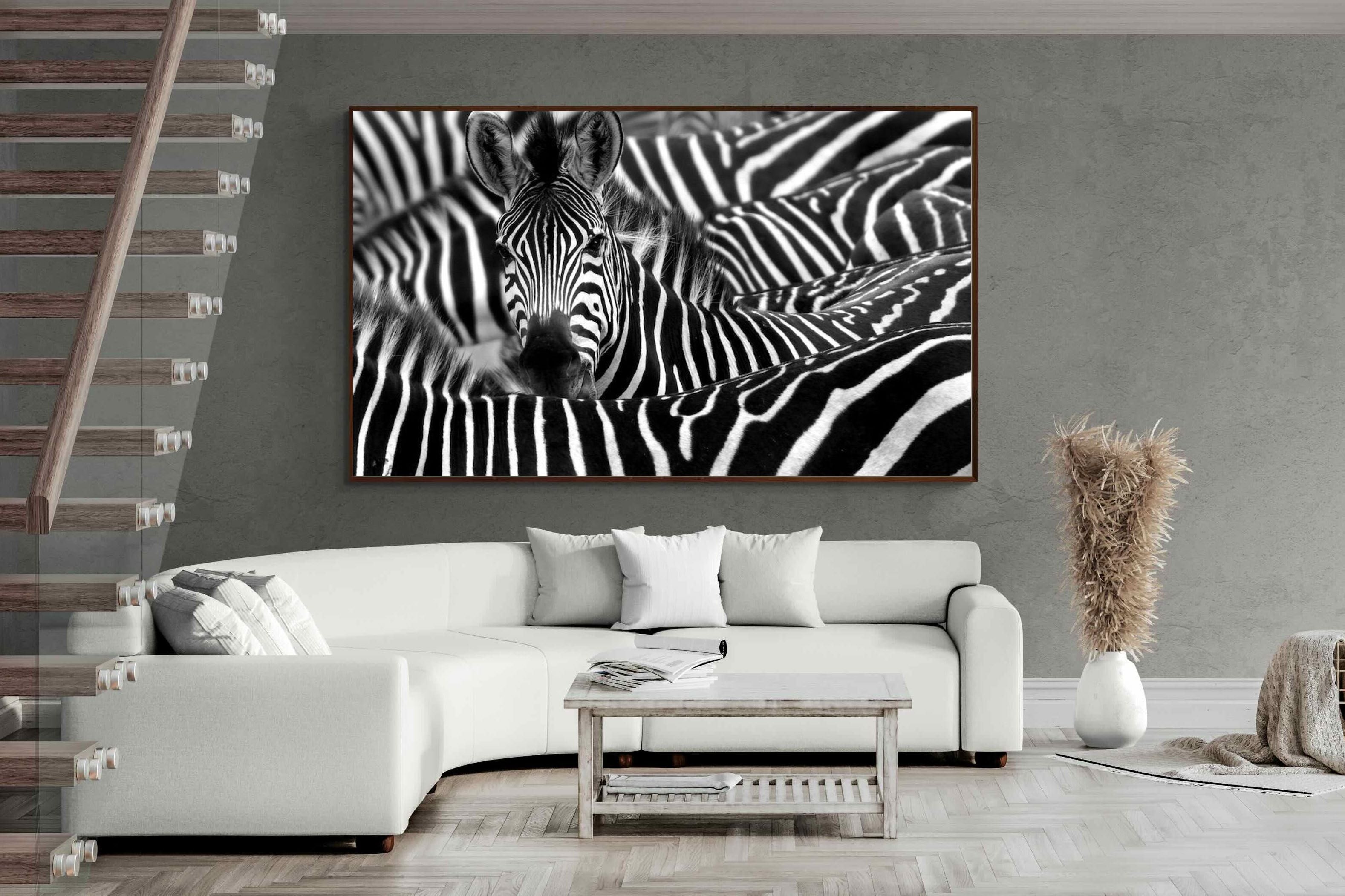 Pixalot ® Zebra Look