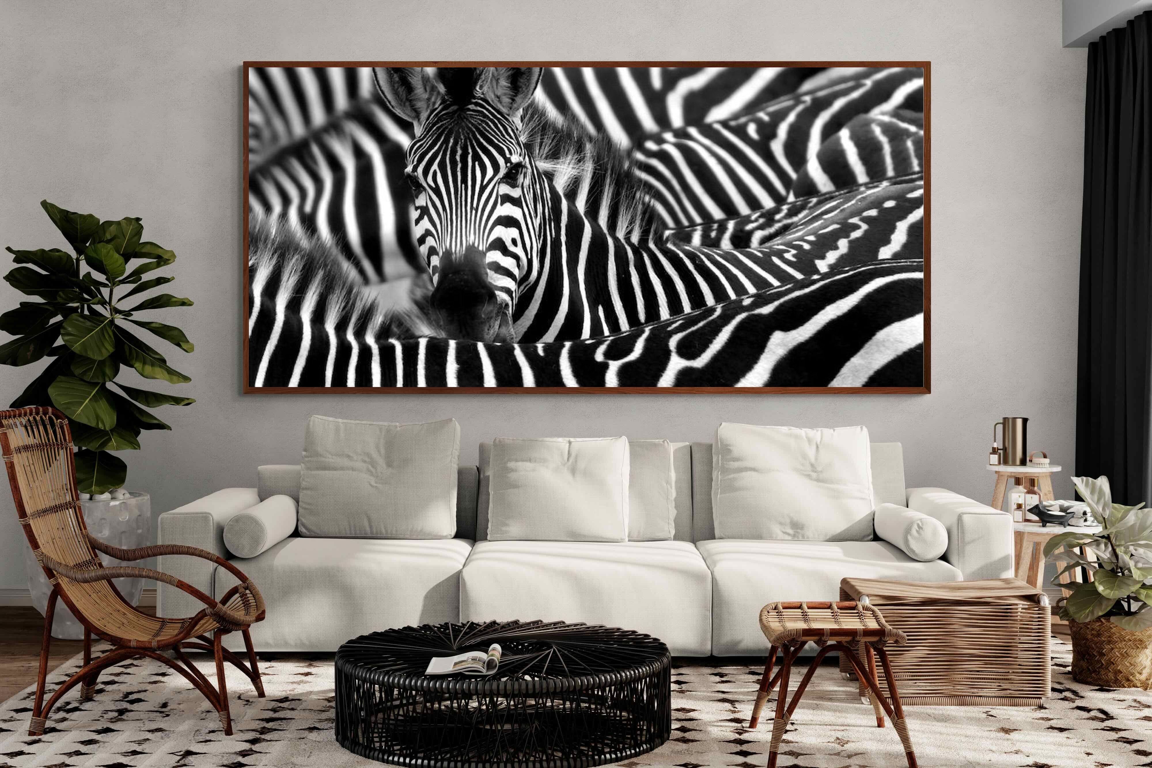 Pixalot ® Zebra Look