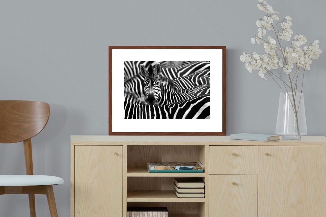 Pixalot ® Zebra Look