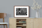 Pixalot ® Zebra Look