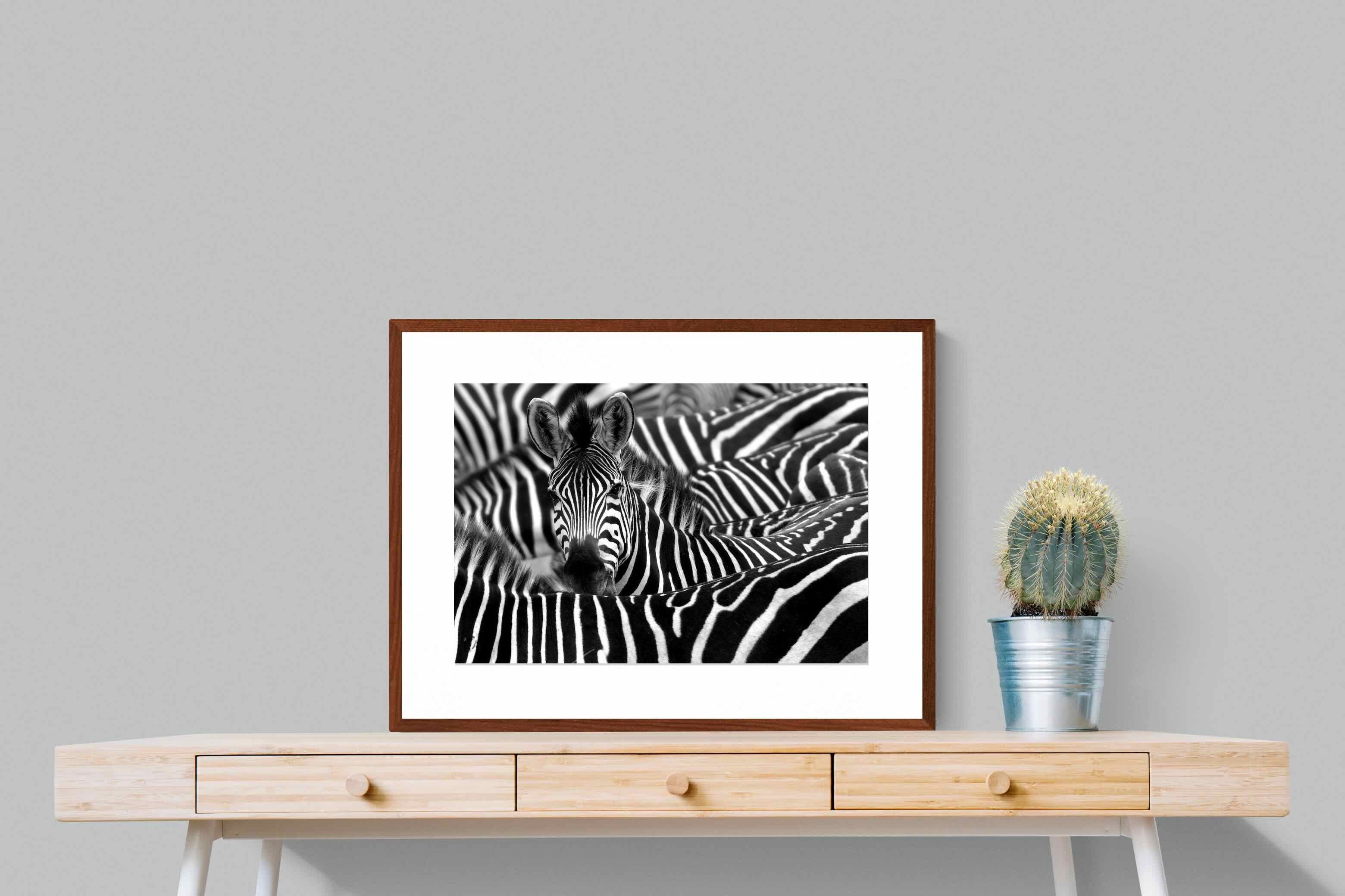 Pixalot ® Zebra Look