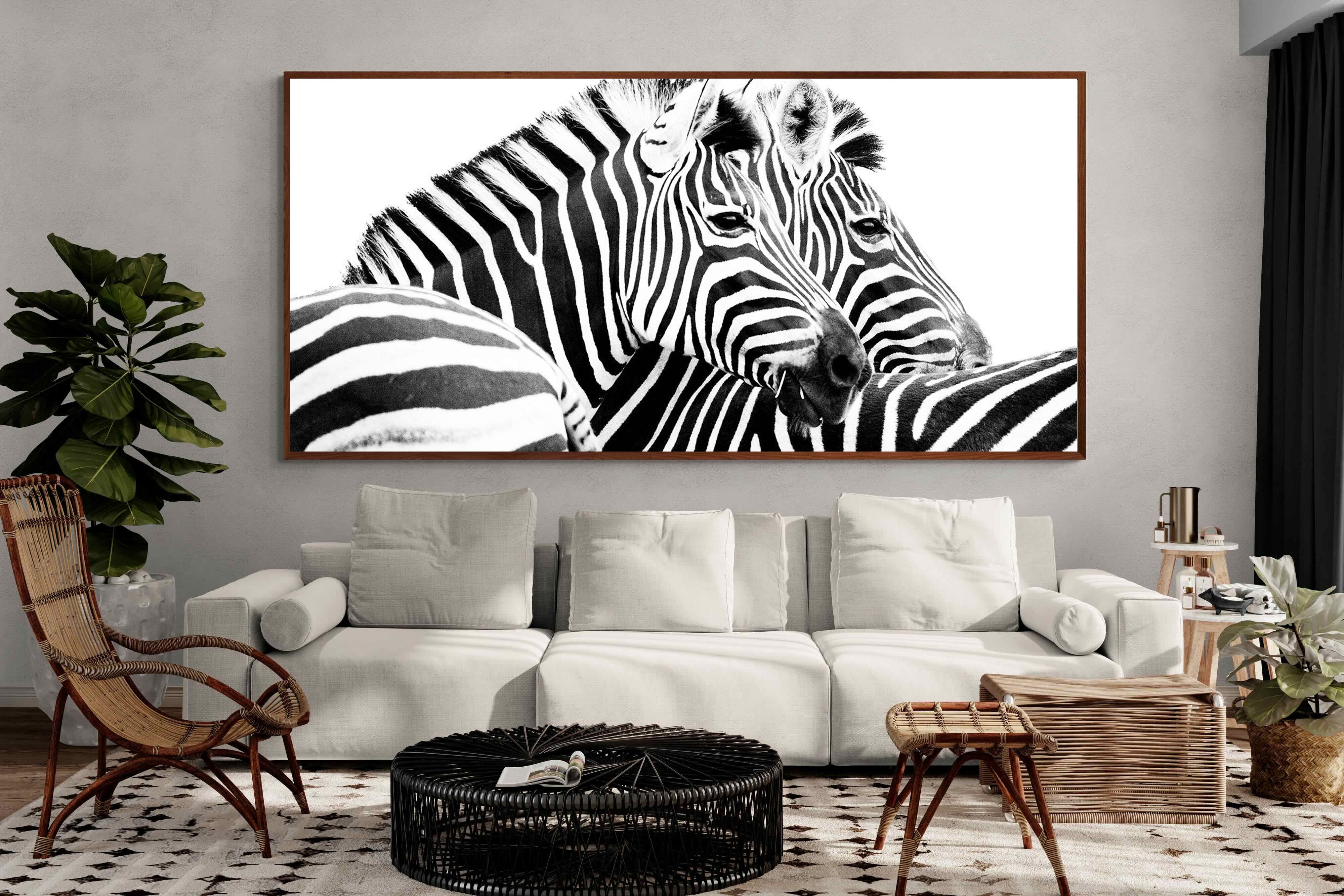 Pixalot ® Zebra Pair