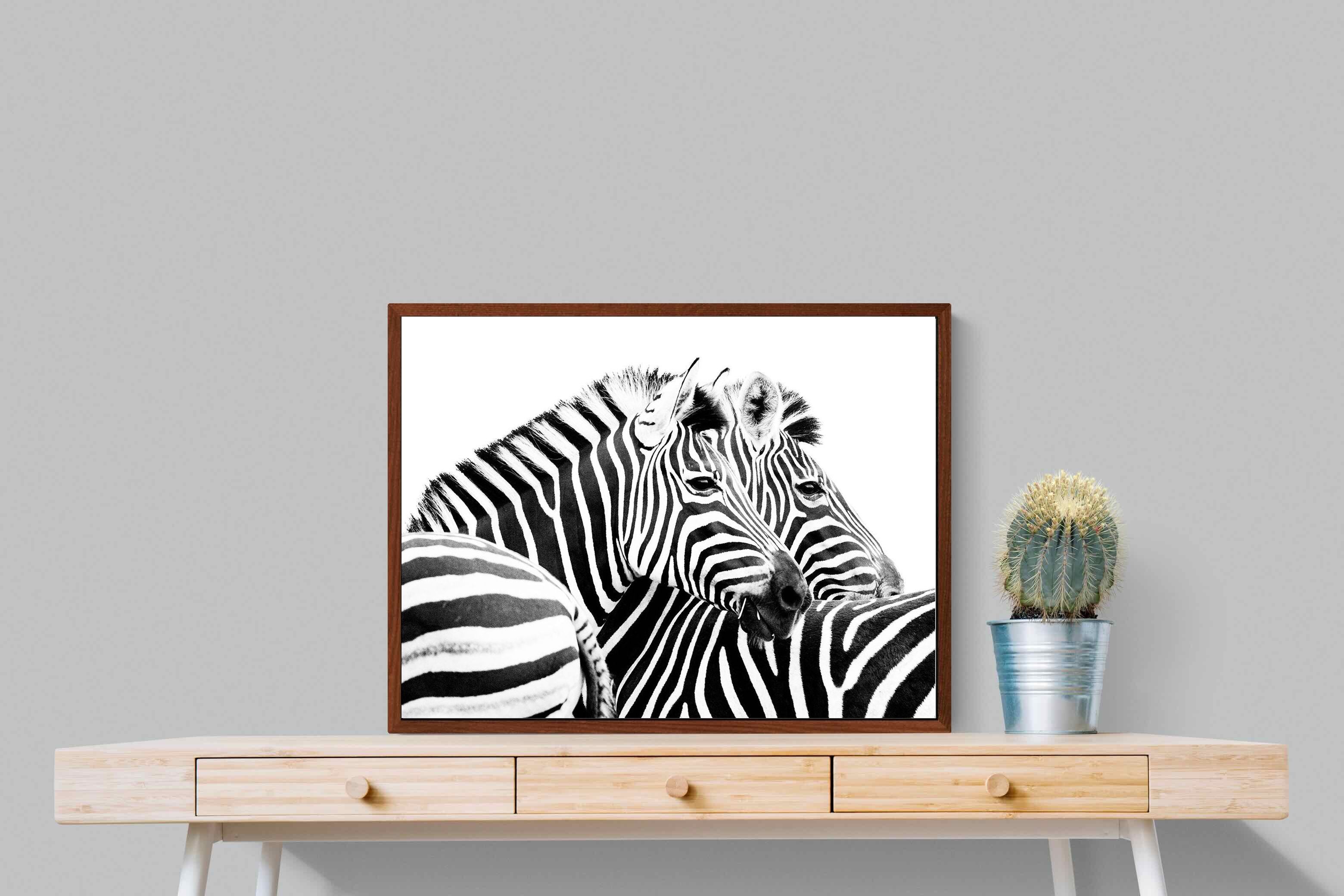 Pixalot ® Zebra Pair