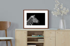 Pixalot ® Zebra