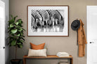 Pixalot ® Zebra Quench