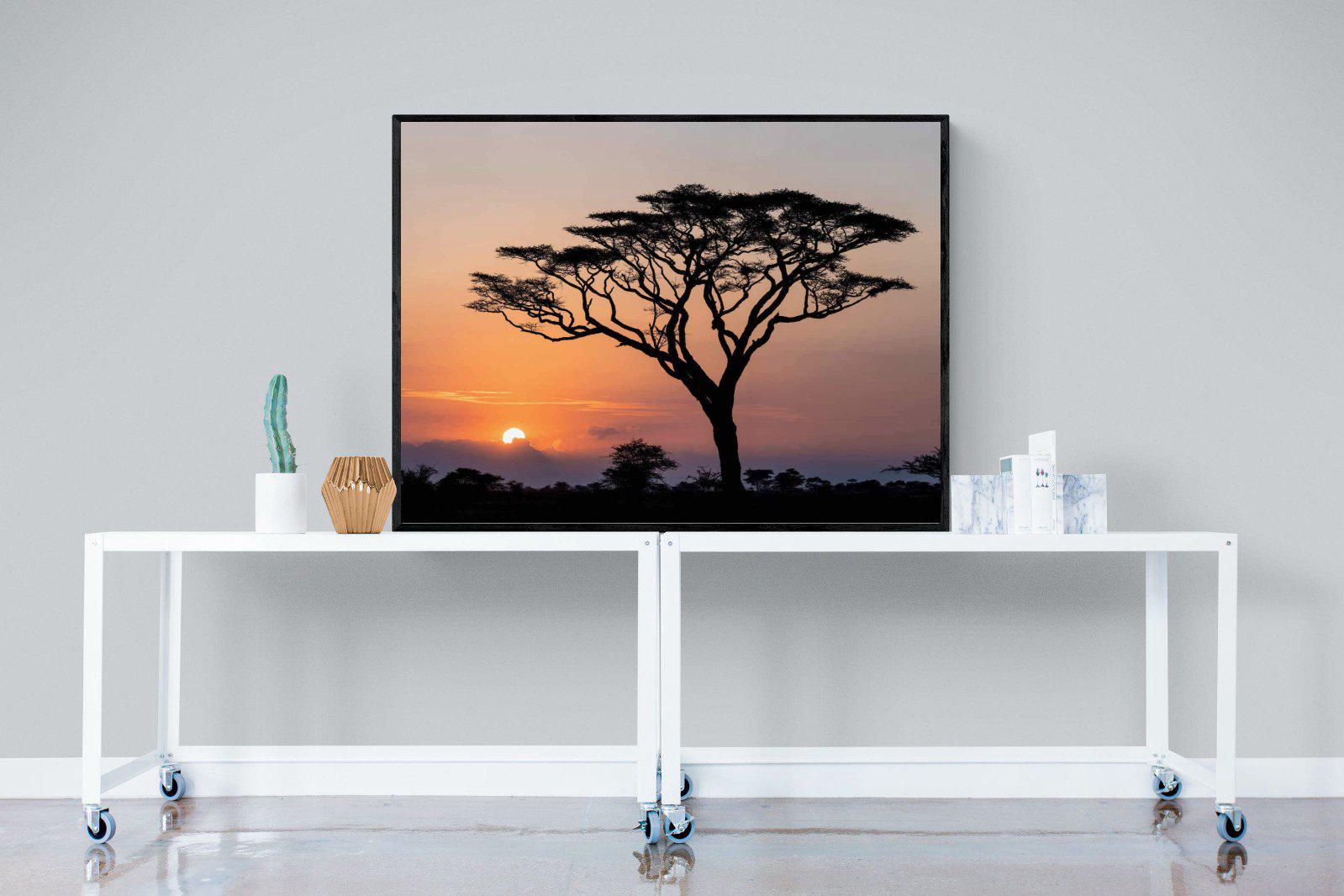 Acacia Sunset-Wall_Art-120 x 90cm-Mounted Canvas-Black-Pixalot