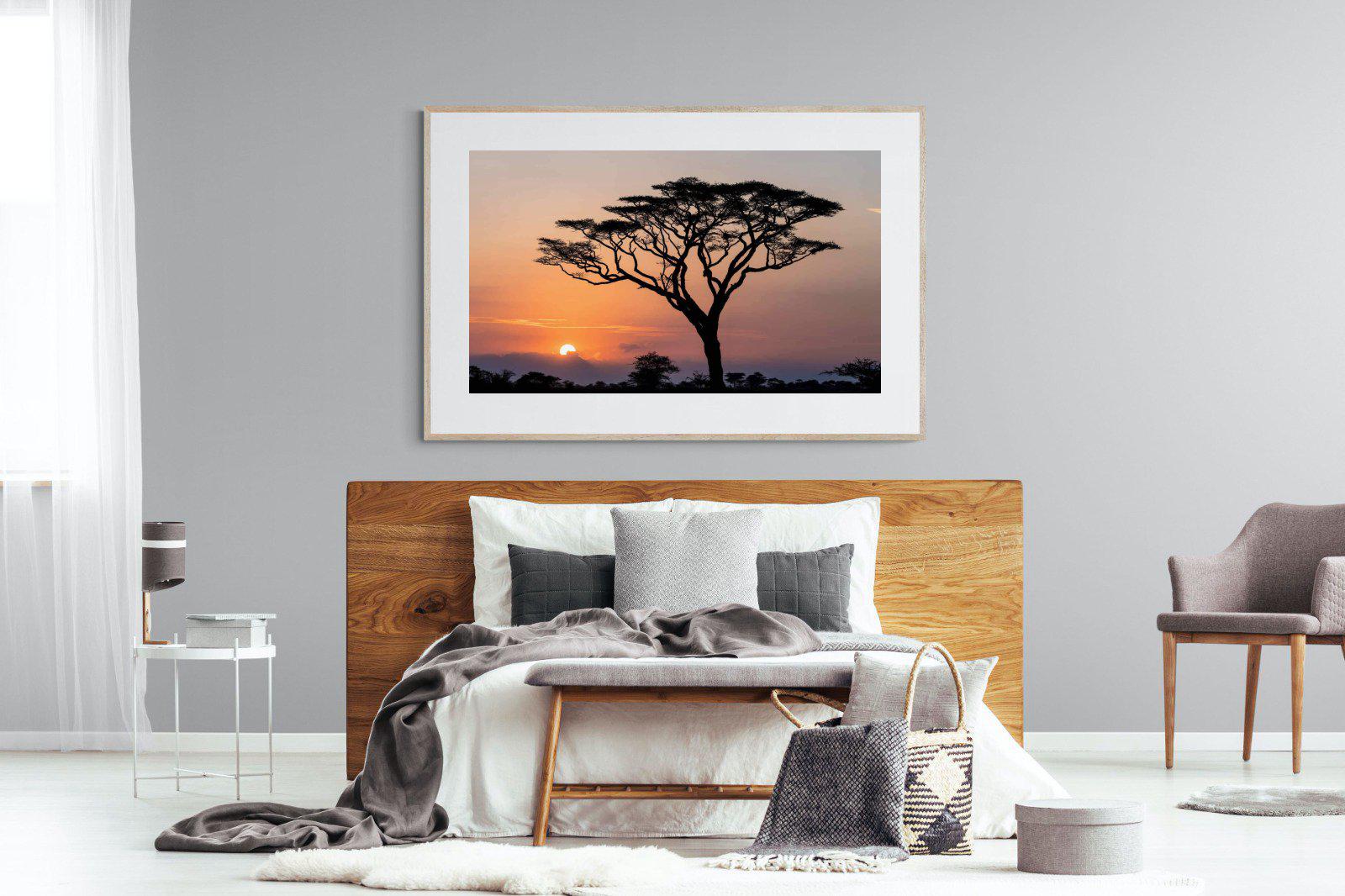 Acacia Sunset-Wall_Art-150 x 100cm-Framed Print-Wood-Pixalot