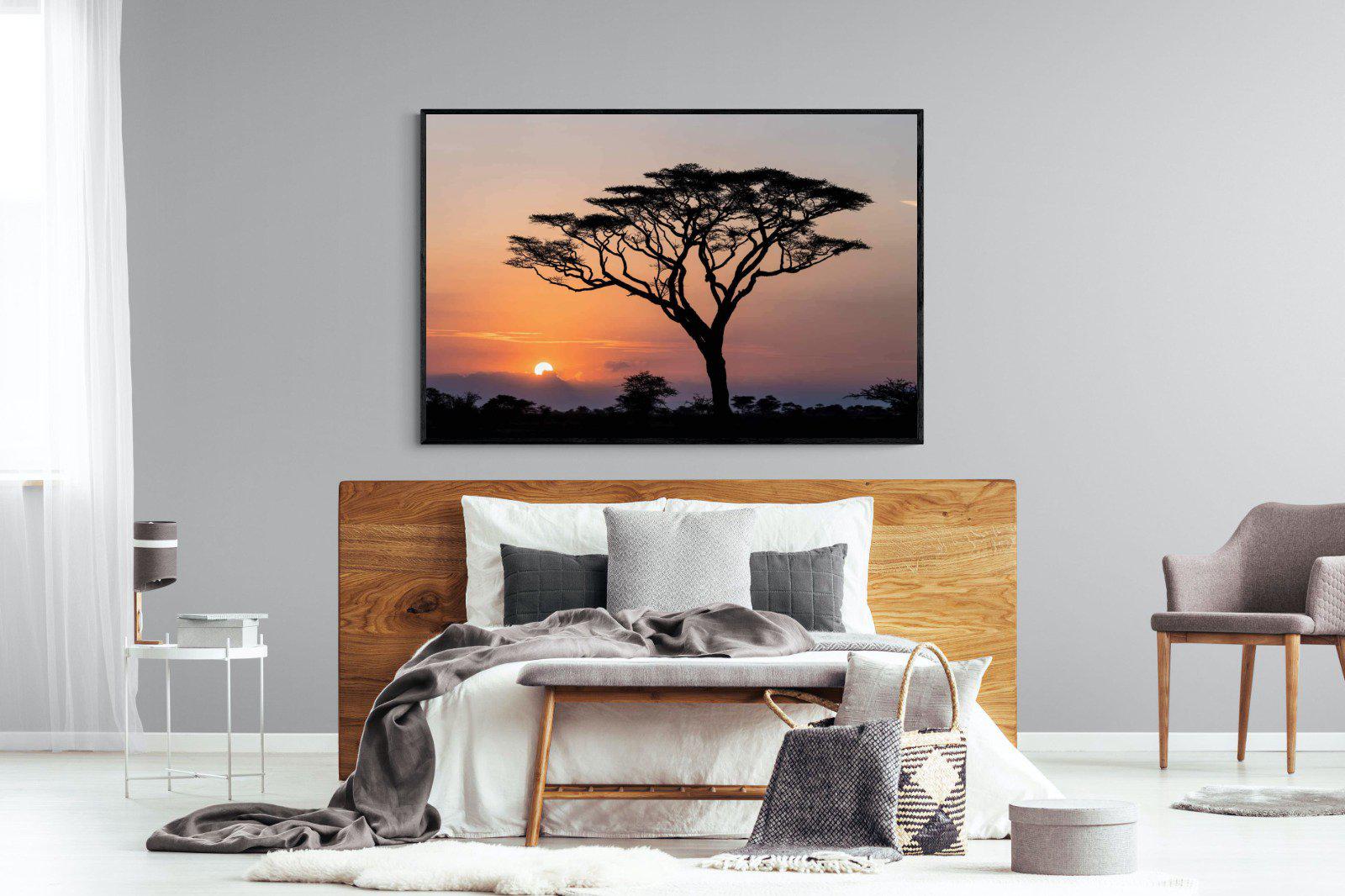 Acacia Sunset-Wall_Art-150 x 100cm-Mounted Canvas-Black-Pixalot