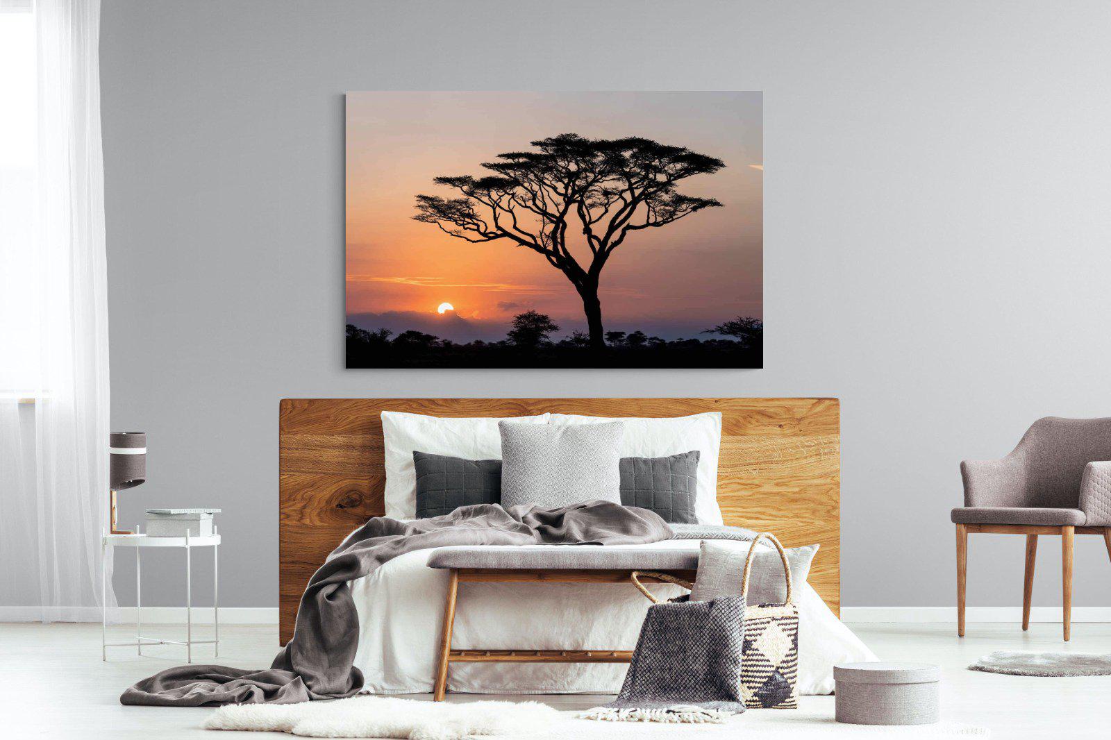 Acacia Sunset-Wall_Art-150 x 100cm-Mounted Canvas-No Frame-Pixalot