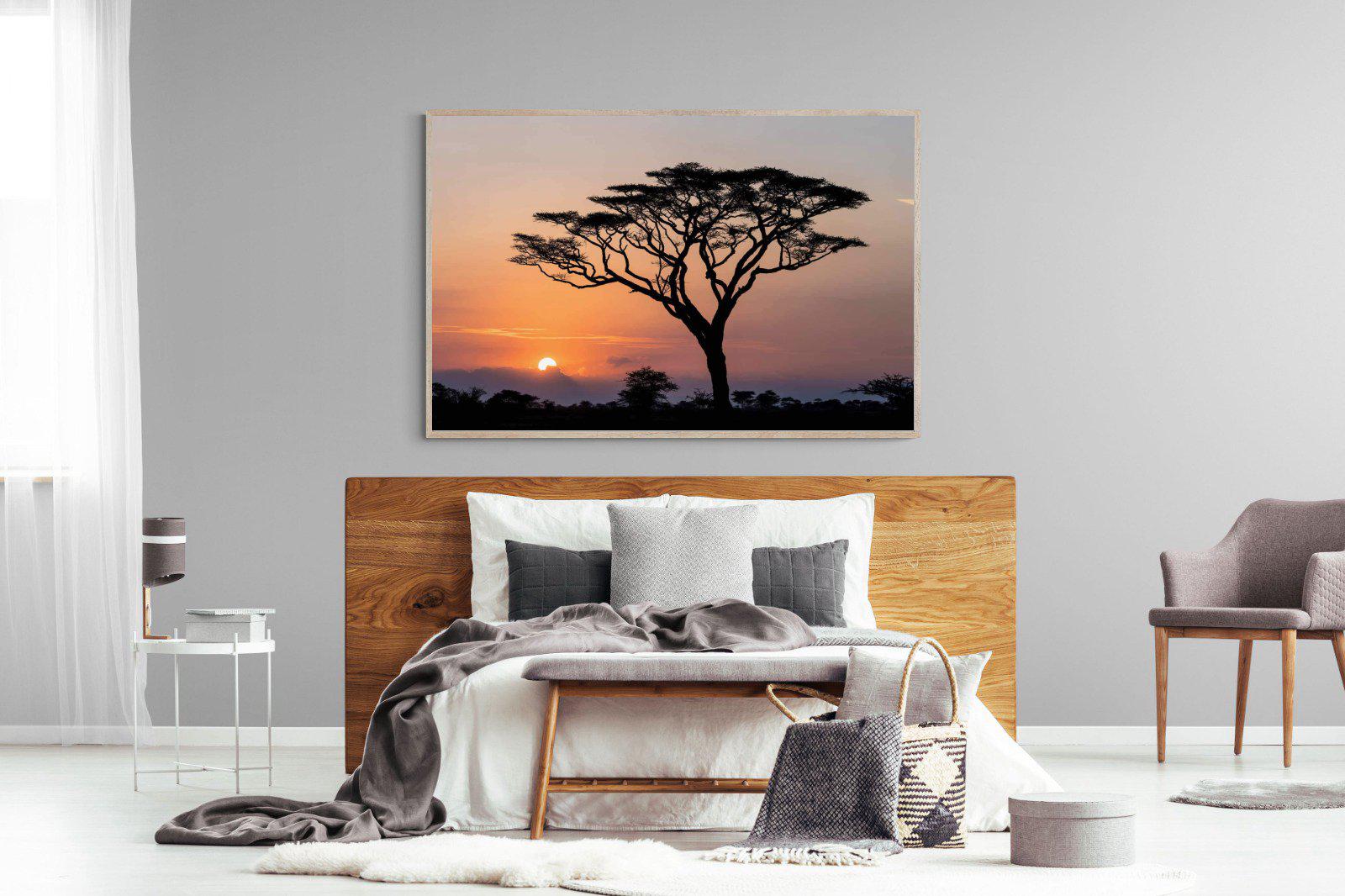 Acacia Sunset-Wall_Art-150 x 100cm-Mounted Canvas-Wood-Pixalot