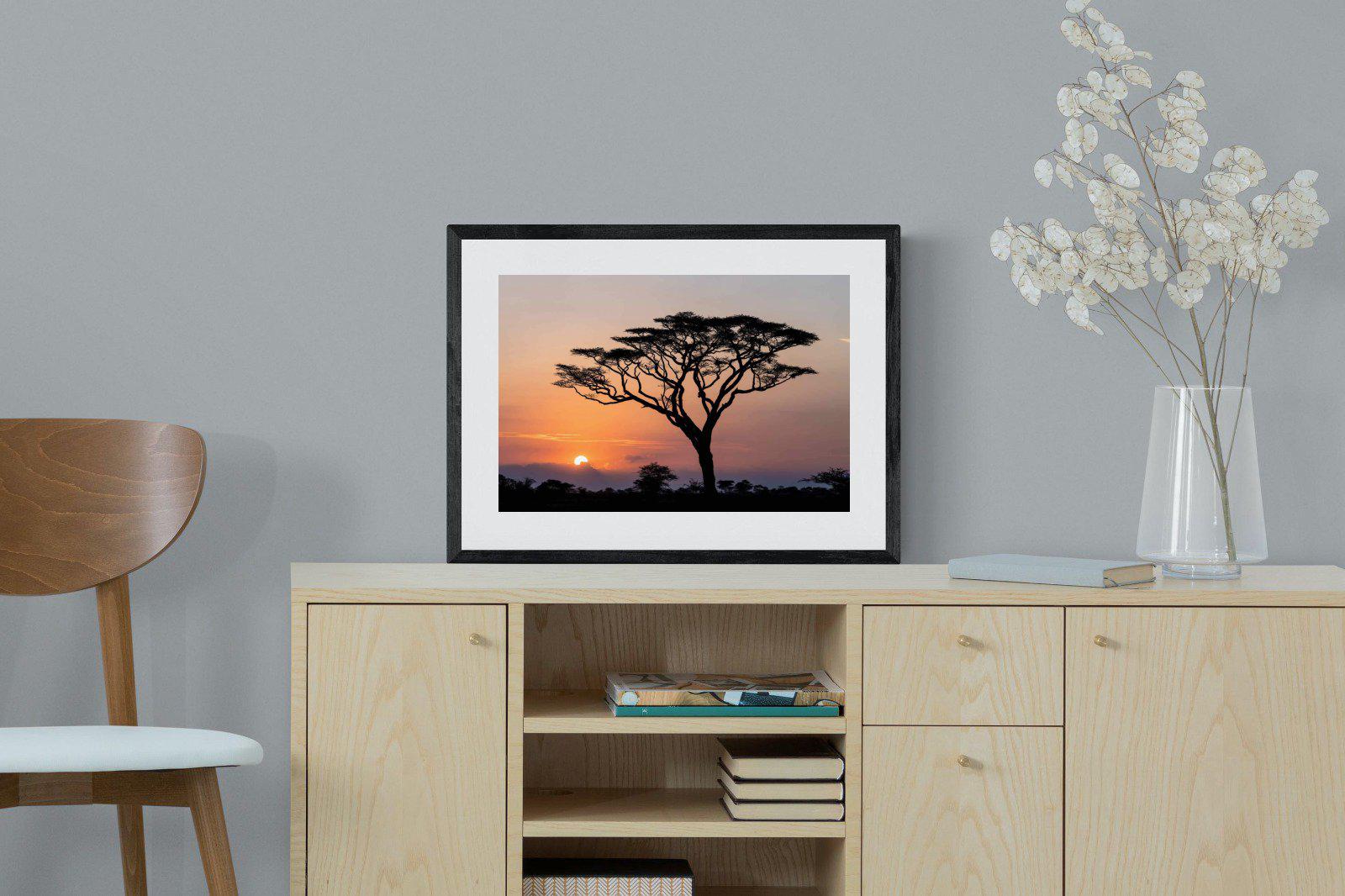 Acacia Sunset-Wall_Art-60 x 45cm-Framed Print-Black-Pixalot