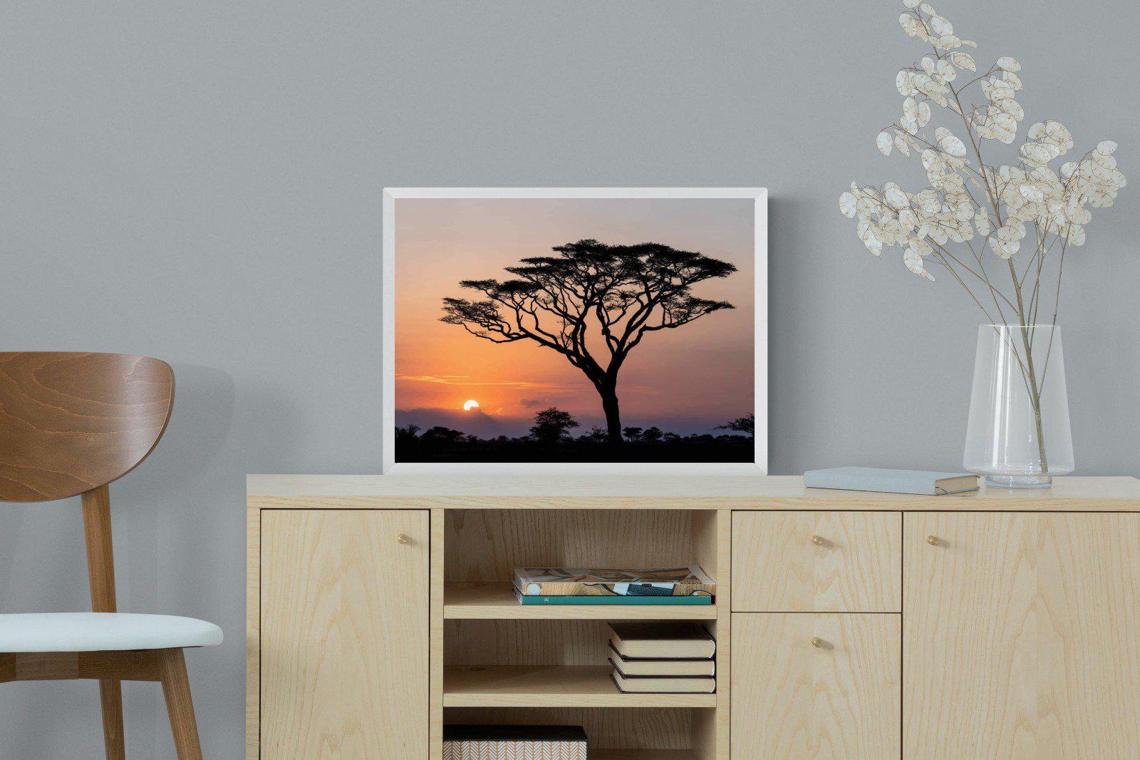 Acacia Sunset-Wall_Art-60 x 45cm-Mounted Canvas-White-Pixalot