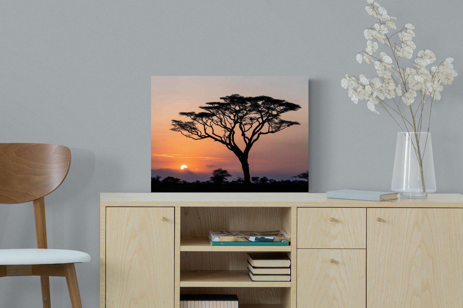 Acacia Sunset-Wall_Art-60 x 45cm-Mounted Canvas-No Frame-Pixalot