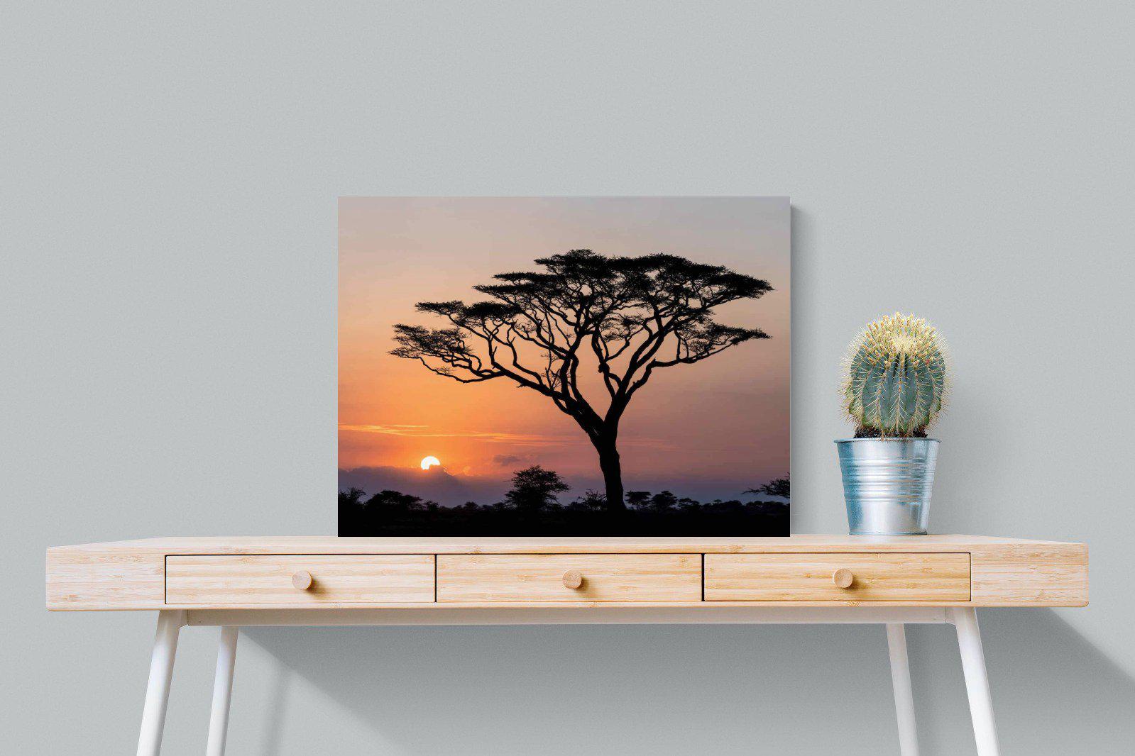 Acacia Sunset-Wall_Art-80 x 60cm-Mounted Canvas-No Frame-Pixalot
