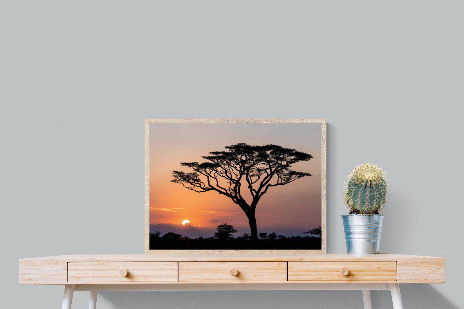 Acacia Sunset-Wall_Art-80 x 60cm-Mounted Canvas-Wood-Pixalot