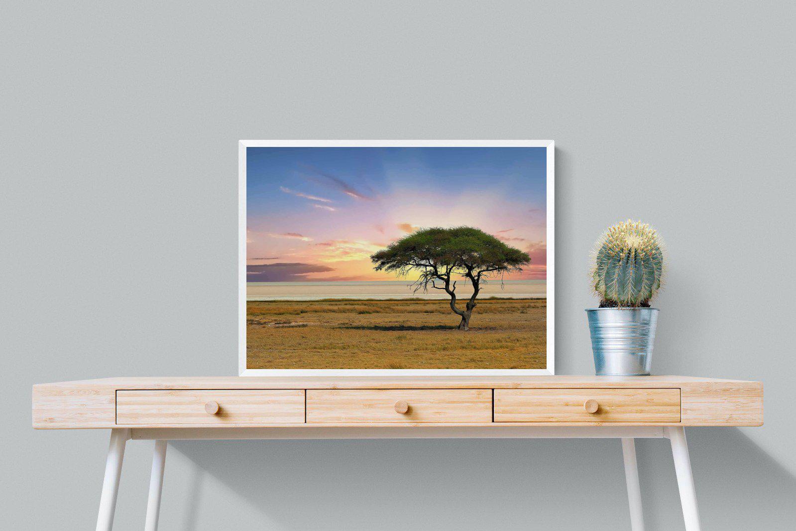 Acacia Tree-Wall_Art-80 x 60cm-Mounted Canvas-White-Pixalot