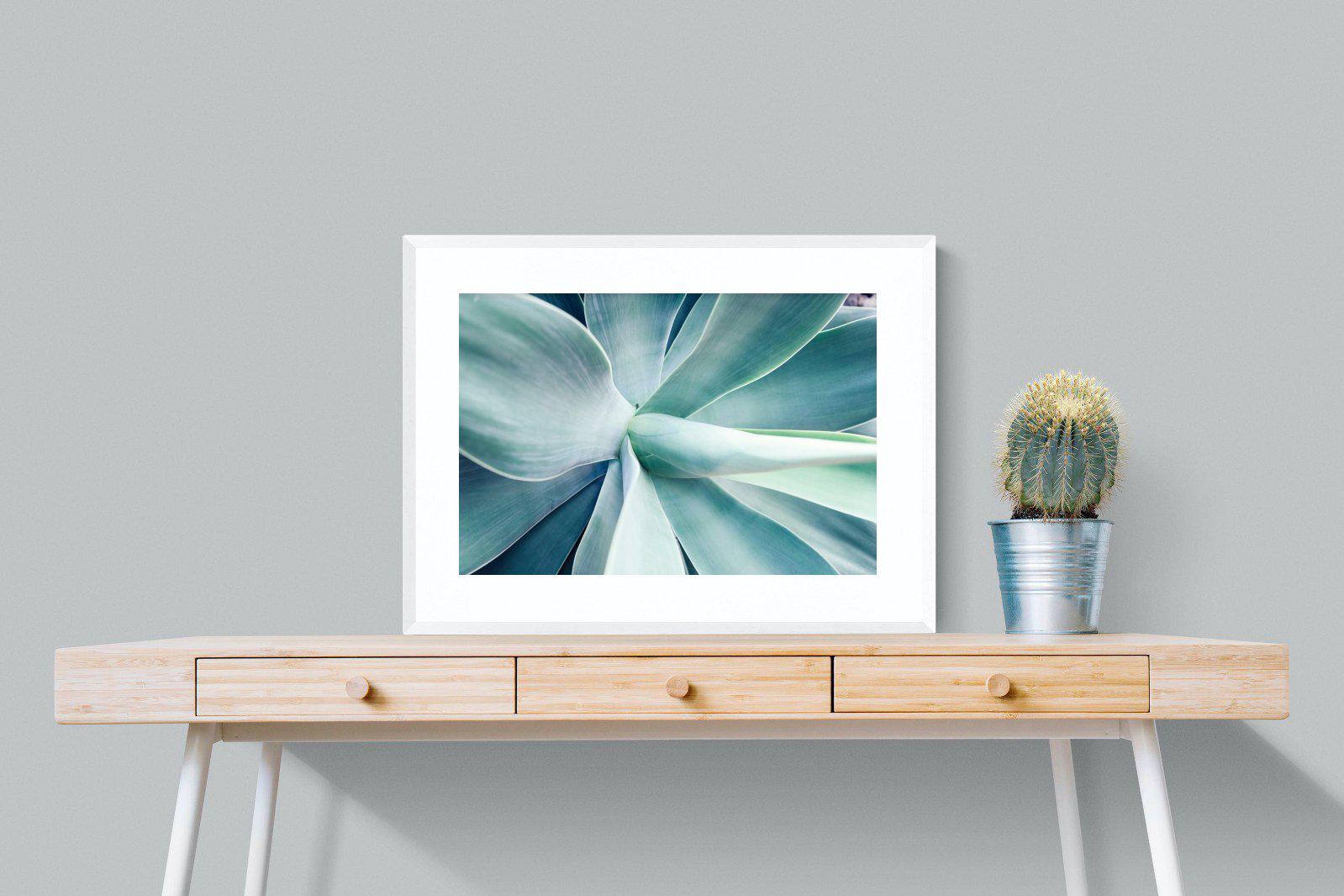 Agave-Wall_Art-80 x 60cm-Framed Print-White-Pixalot