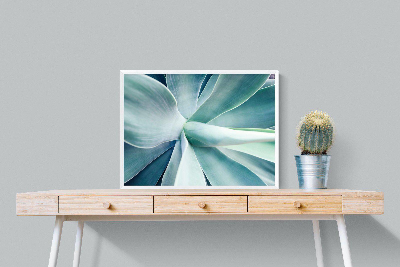 Agave-Wall_Art-80 x 60cm-Mounted Canvas-White-Pixalot