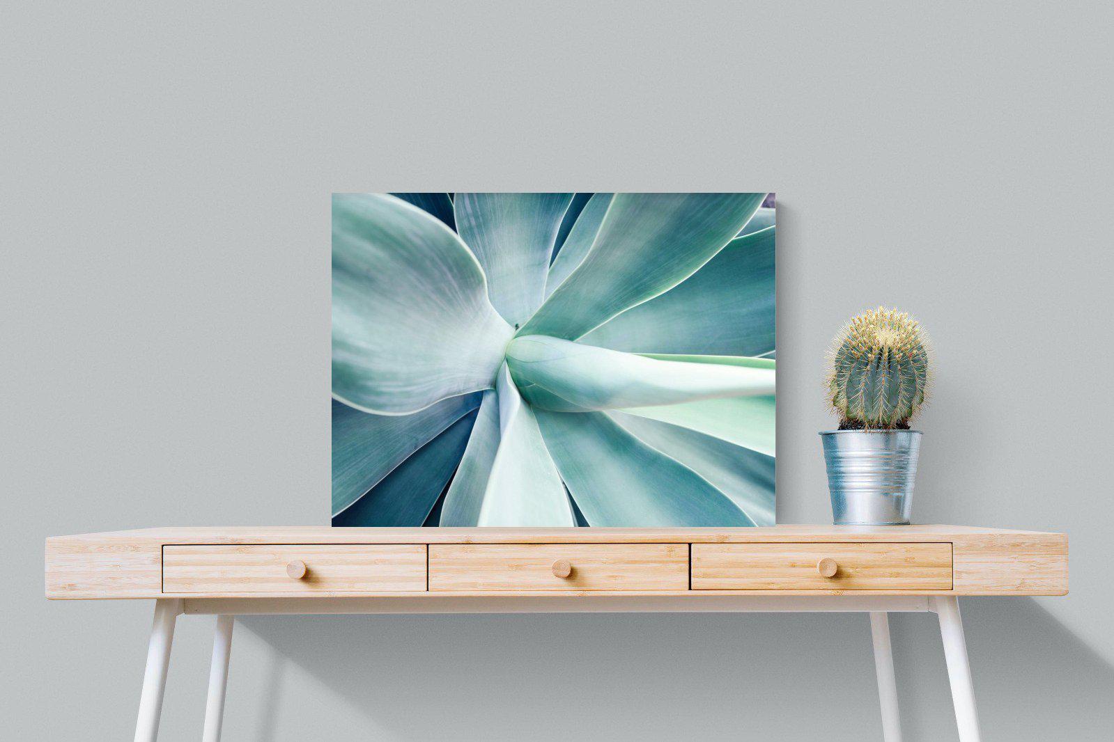 Agave-Wall_Art-80 x 60cm-Mounted Canvas-No Frame-Pixalot