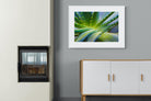 Aloe Vera-Wall_Art-100 x 75cm-Framed Print-White-Pixalot