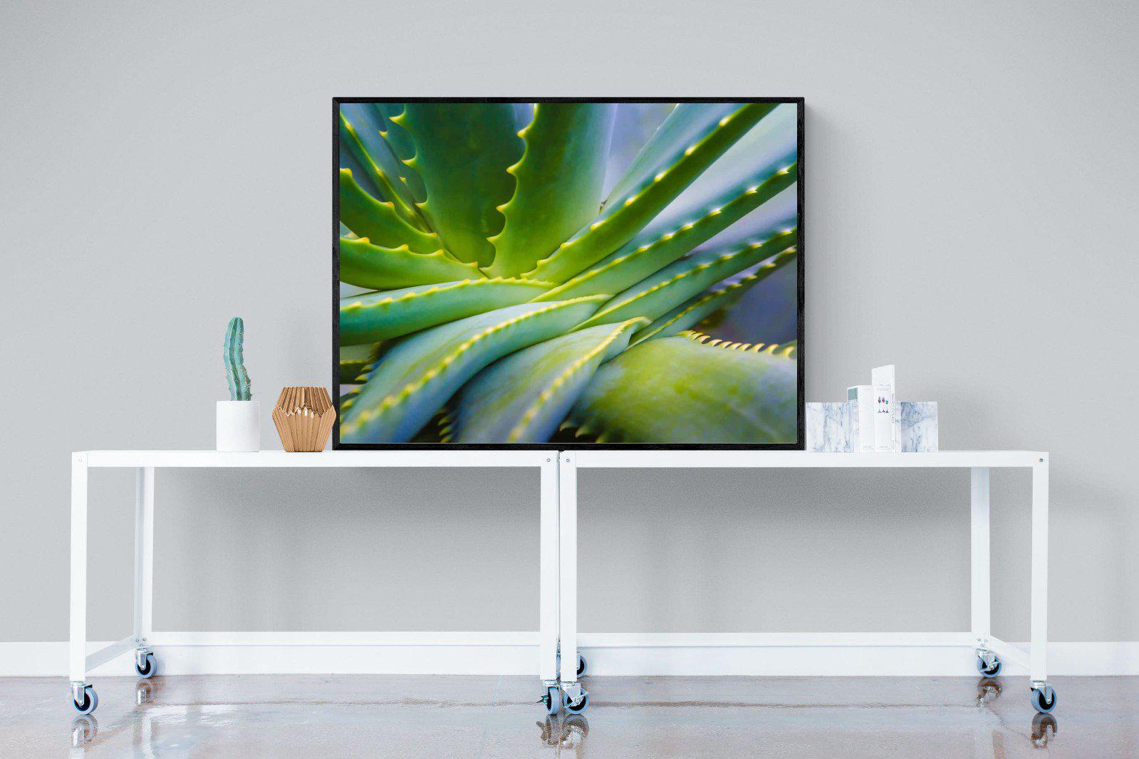 Aloe Vera-Wall_Art-120 x 90cm-Mounted Canvas-Black-Pixalot