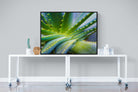 Aloe Vera-Wall_Art-120 x 90cm-Mounted Canvas-Black-Pixalot