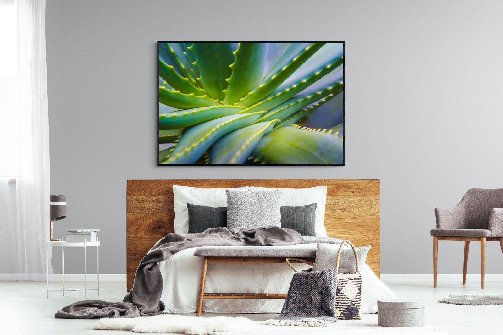 Aloe Vera-Wall_Art-150 x 100cm-Mounted Canvas-Black-Pixalot