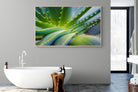 Aloe Vera-Wall_Art-180 x 110cm-Mounted Canvas-Wood-Pixalot
