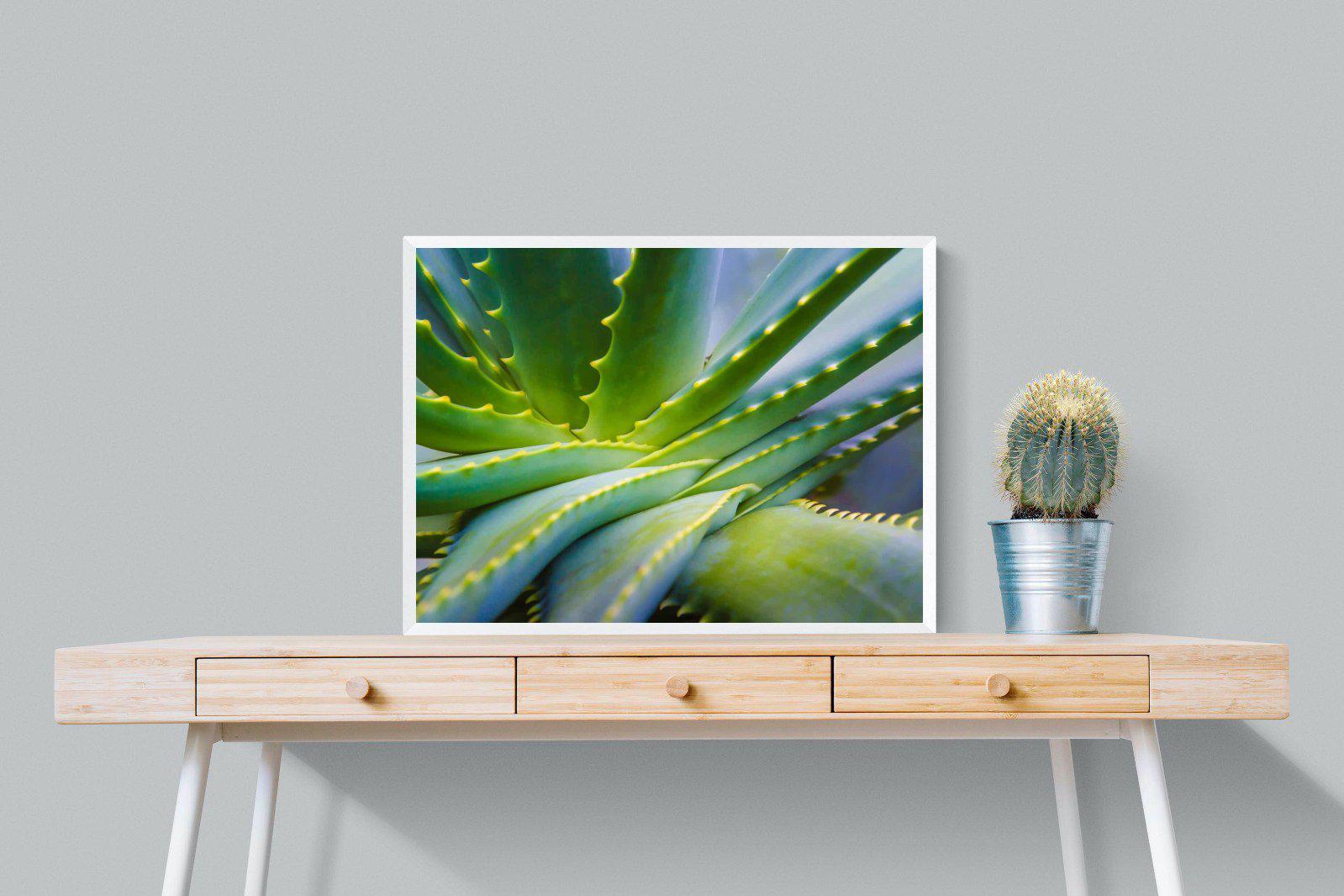 Aloe Vera-Wall_Art-80 x 60cm-Mounted Canvas-White-Pixalot