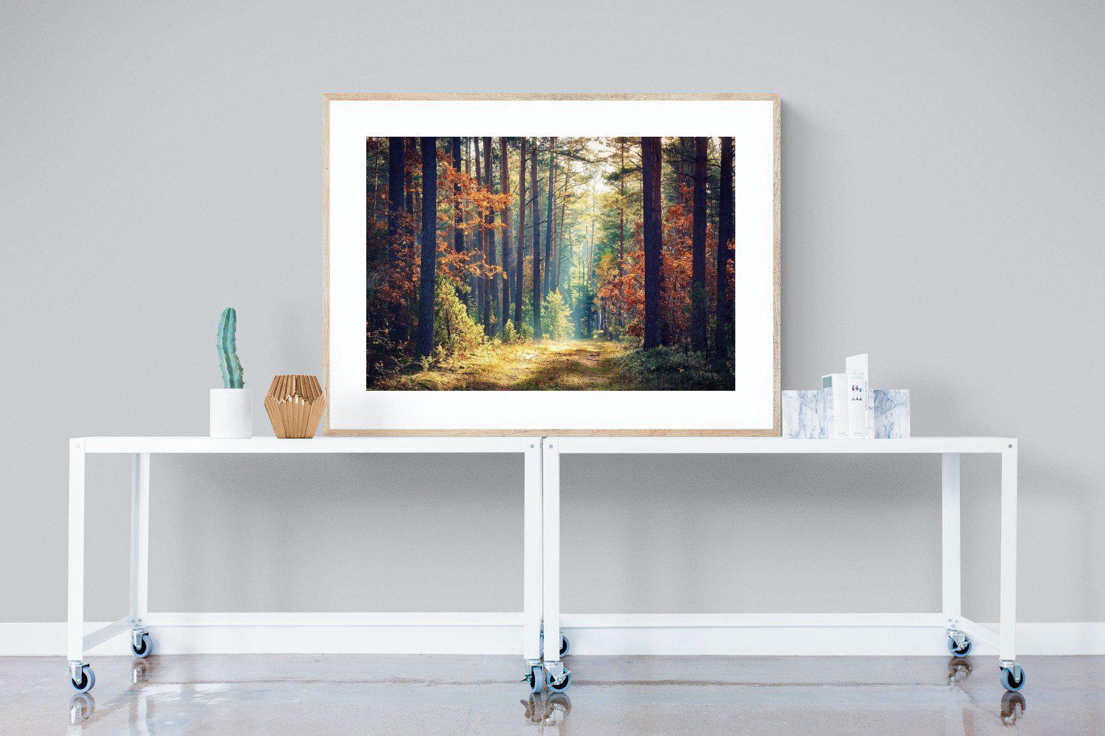 Autumn Forest-Wall_Art-120 x 90cm-Framed Print-Wood-Pixalot