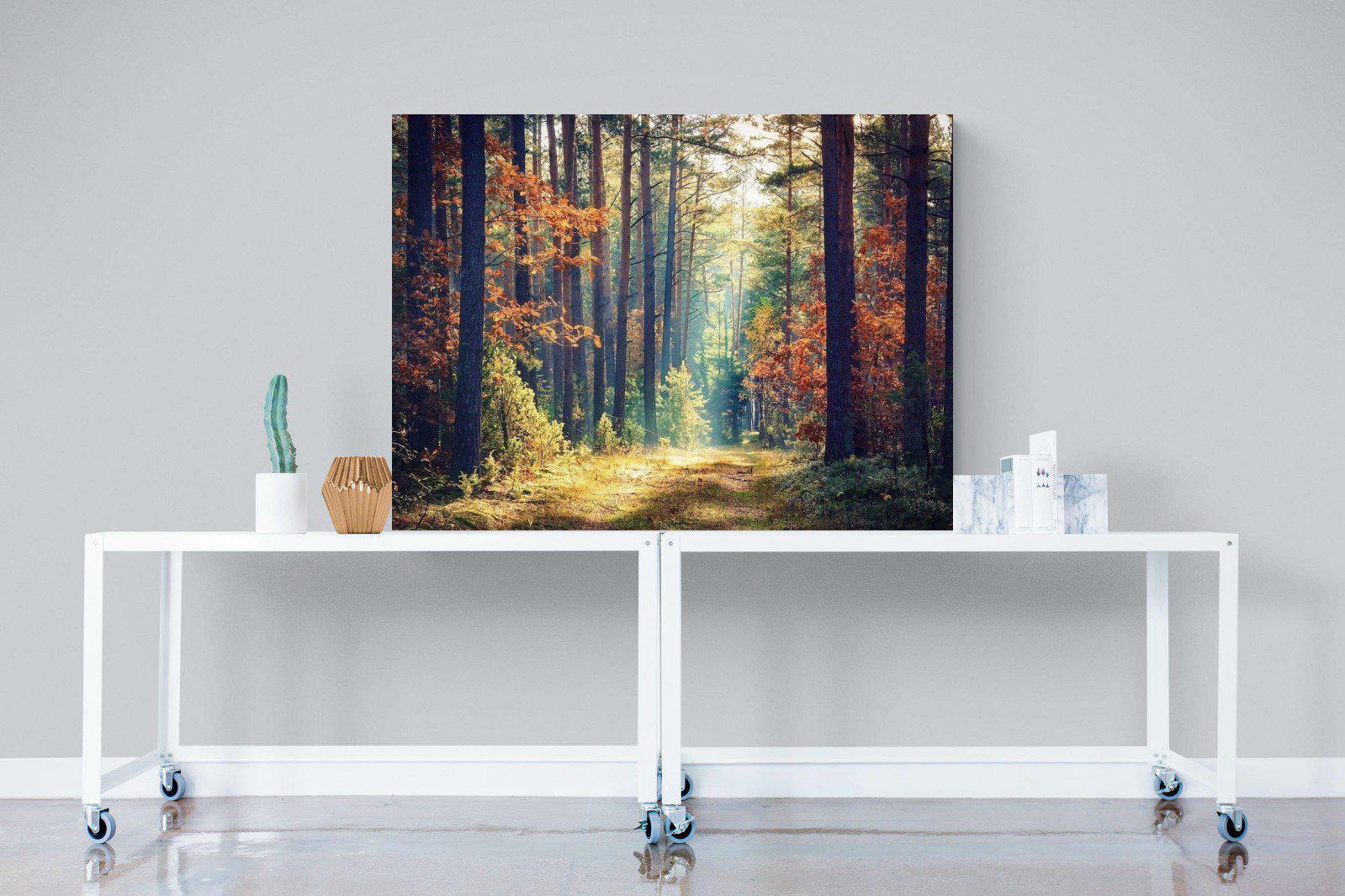 Autumn Forest-Wall_Art-120 x 90cm-Mounted Canvas-No Frame-Pixalot