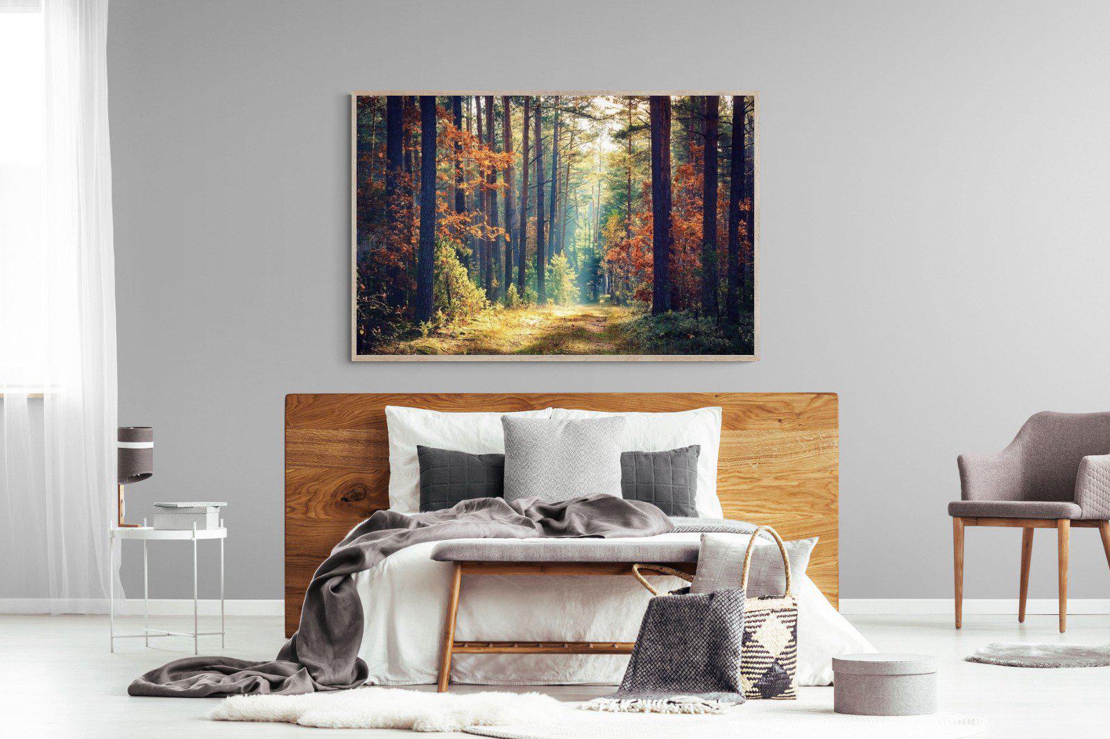 Autumn Forest-Wall_Art-150 x 100cm-Mounted Canvas-Wood-Pixalot