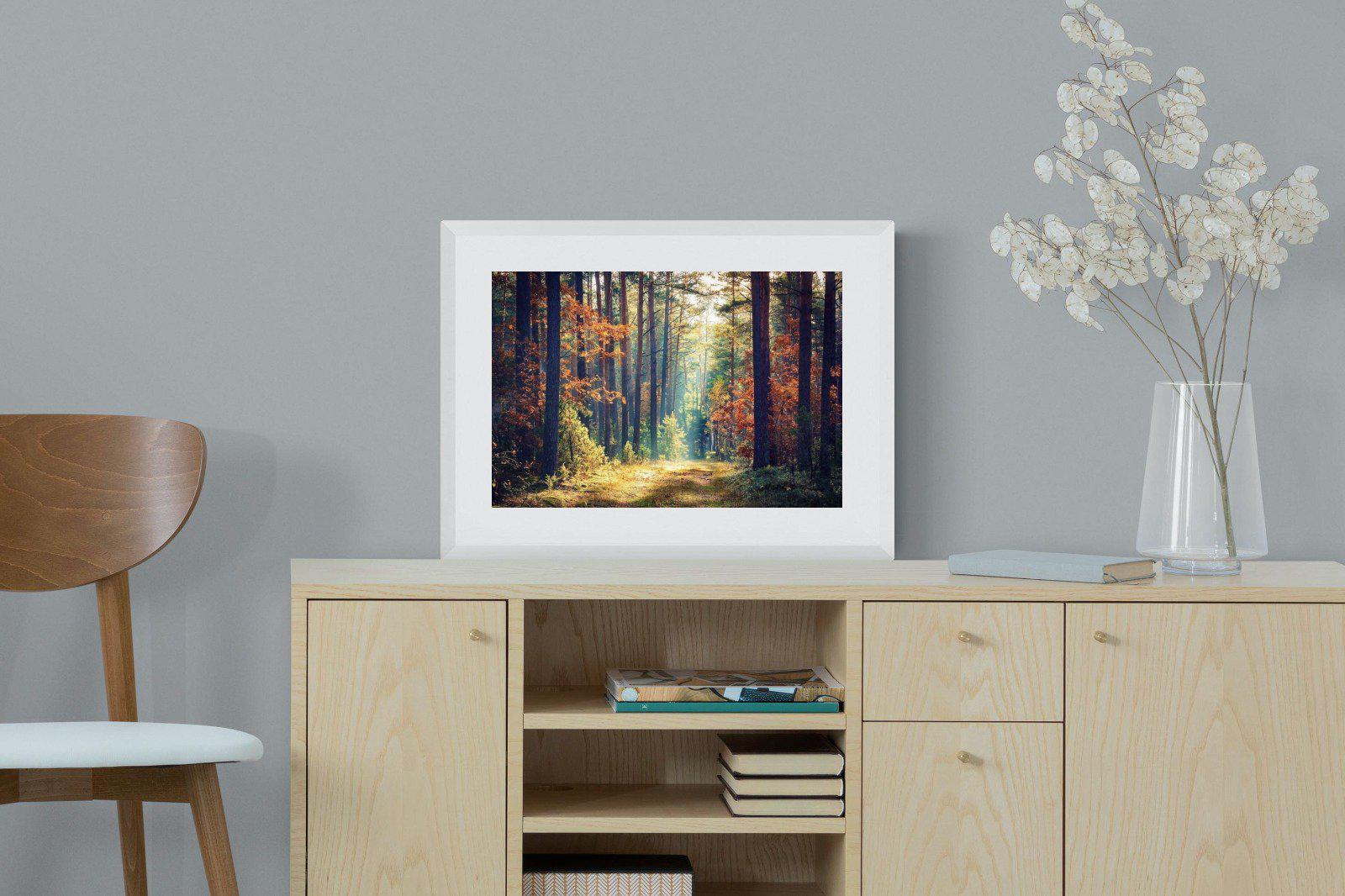 Autumn Forest-Wall_Art-60 x 45cm-Framed Print-White-Pixalot