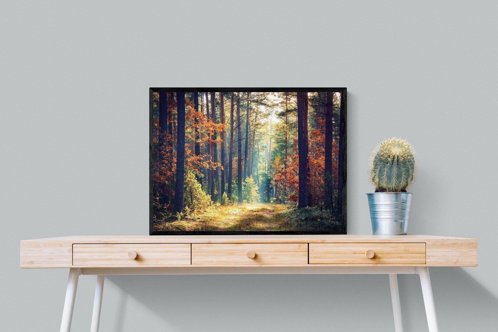 Autumn Forest-Wall_Art-80 x 60cm-Mounted Canvas-Black-Pixalot