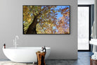 Autumn Tree Leaves-Wall_Art-180 x 110cm-Mounted Canvas-Black-Pixalot