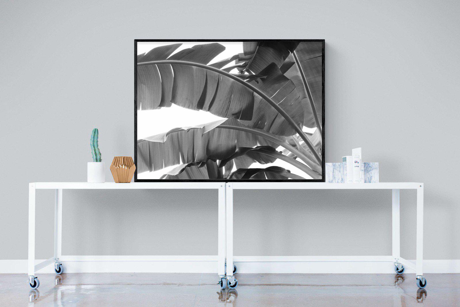 Banana Frond-Wall_Art-120 x 90cm-Mounted Canvas-Black-Pixalot