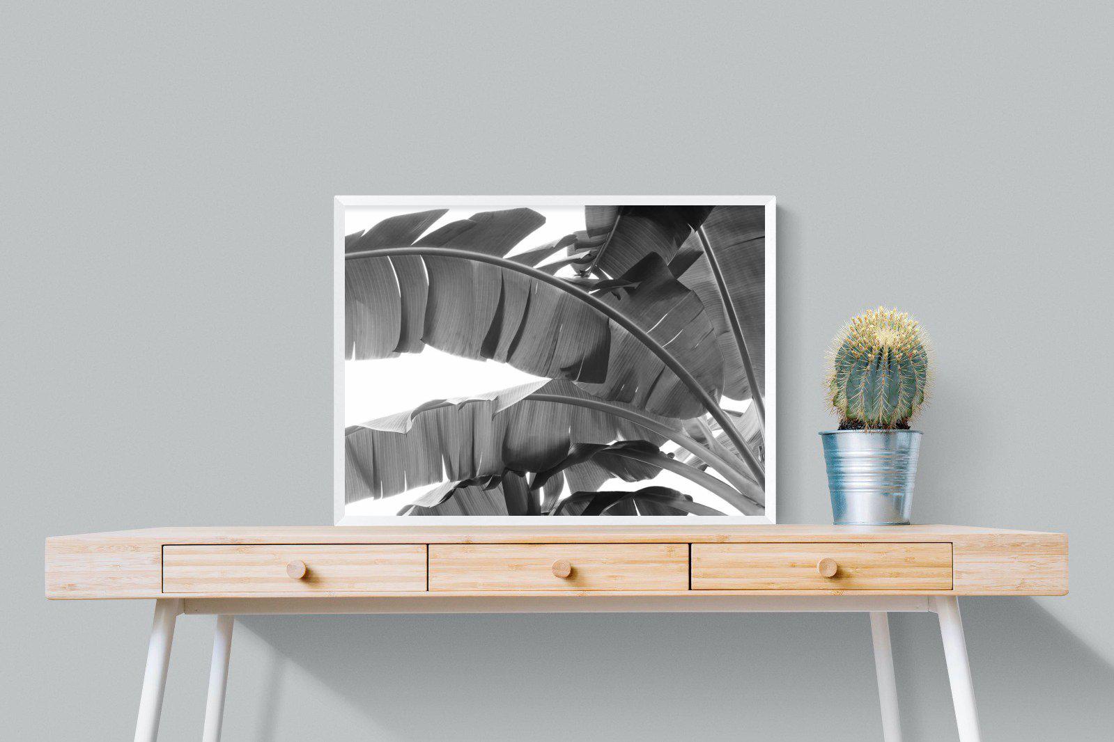 Banana Frond-Wall_Art-80 x 60cm-Mounted Canvas-White-Pixalot