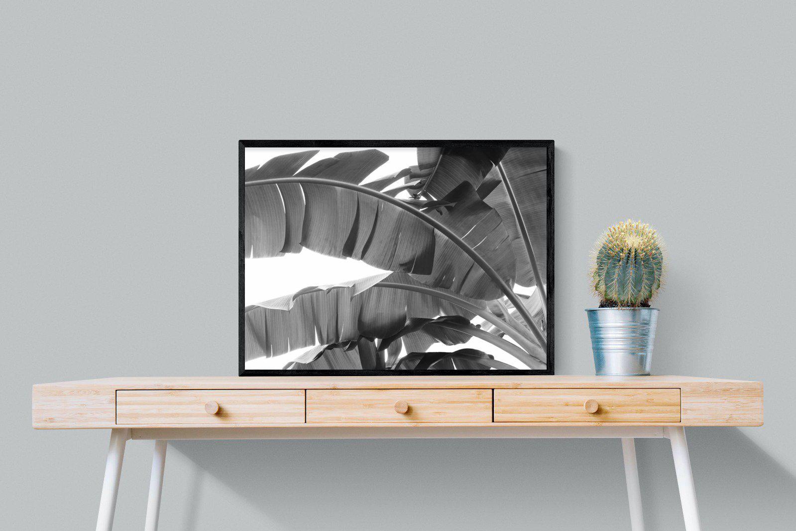 Banana Frond-Wall_Art-80 x 60cm-Mounted Canvas-Black-Pixalot